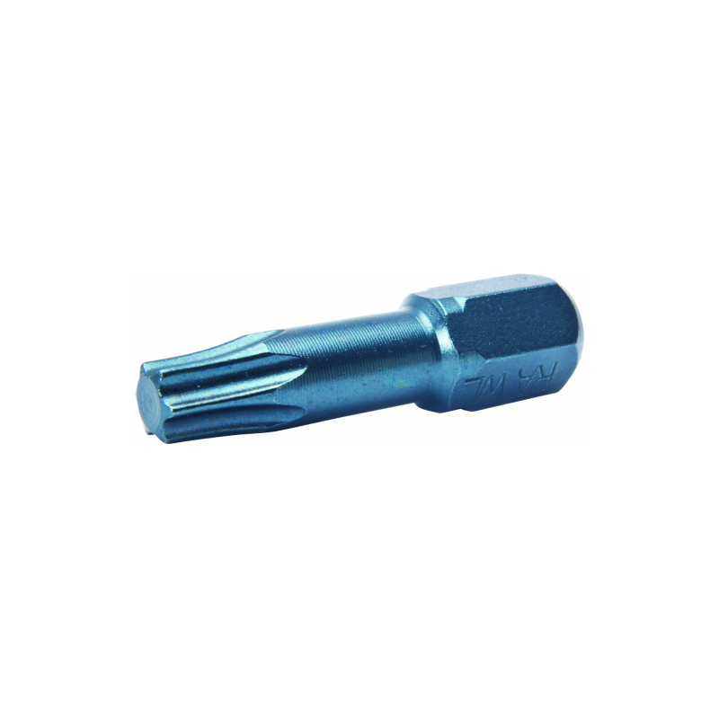 Torx bit RT-BIT-TORX